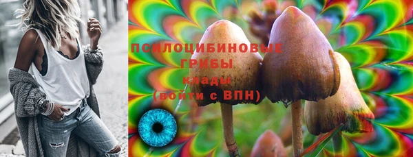 соль курить ск Богданович