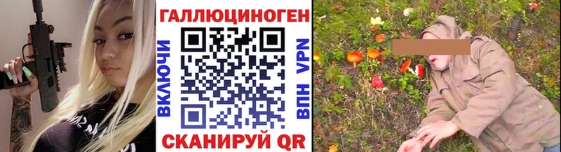 Купить где  Ногинск  Псилоцибиновые грибы Cubensis 